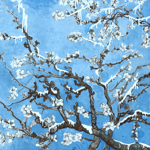 工作代理小狼导航
