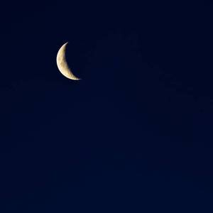 林秀芳火车卧铺最新更新内容介绍
