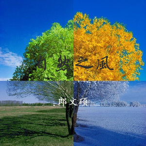 欧美大黑鸡巴操屁眼儿
